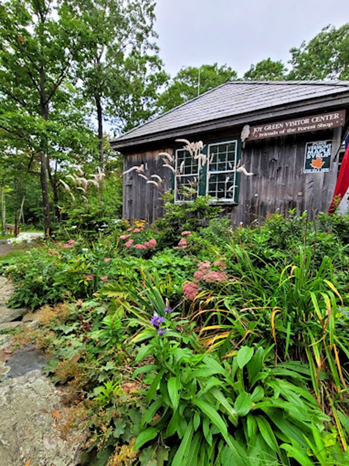 The visitor center: where rustic charm meets flower power. It's like your cool grandma's garden shed got an upgrade.