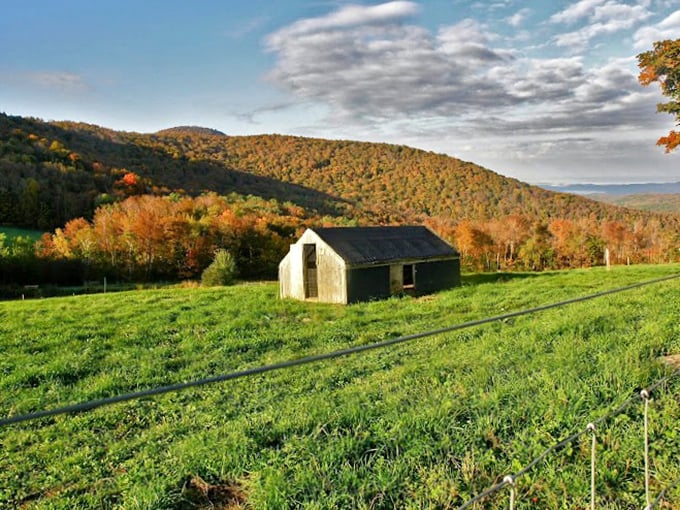 Fall in Vermont: where trees compete in their own version of "America's Next Top Foliage Model."