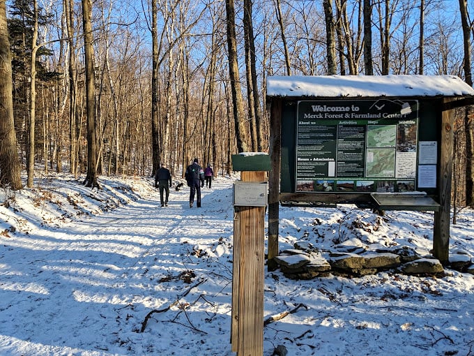 Even in winter, Merck Forest beckons. It's like Narnia, minus the talking animals (but the views are just as magical).