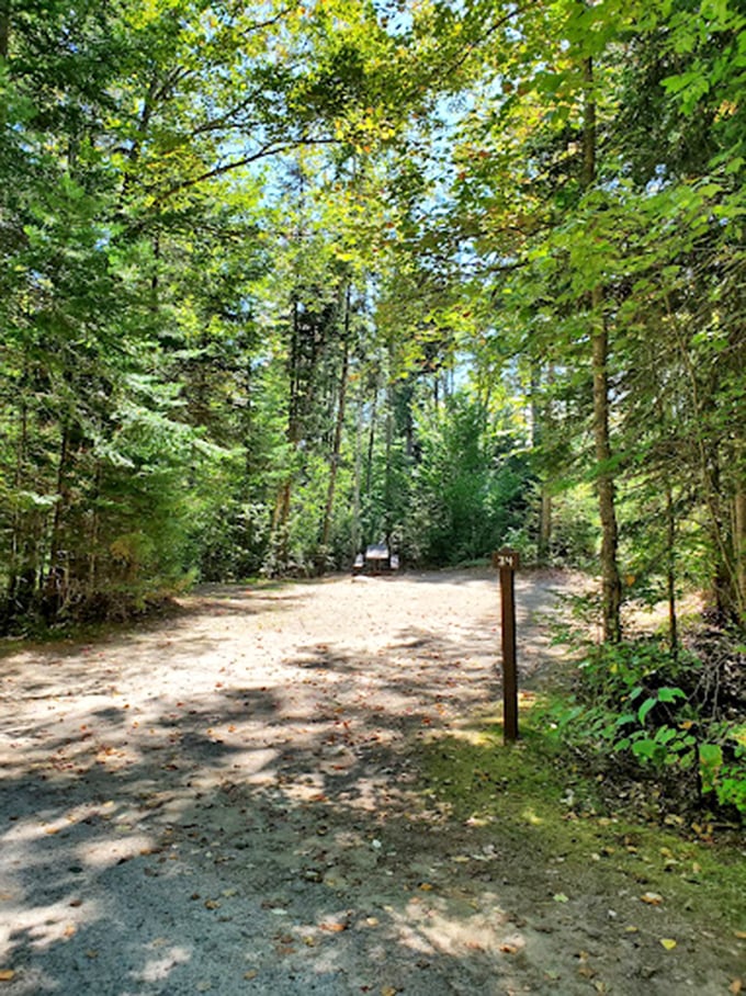 Forest bathing, Vermont edition: This sun-dappled trail promises a journey through nature's own stress-relief therapy. No spa membership required!