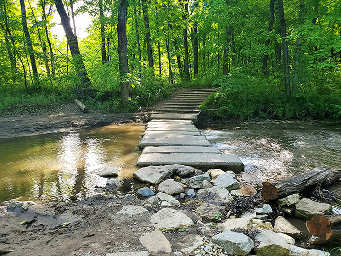 Stairway to heaven? Nope, just a beautiful descent into nature's own amphitheater. Watch your step and enjoy the show! Photo credit: Esmeralda Ramos