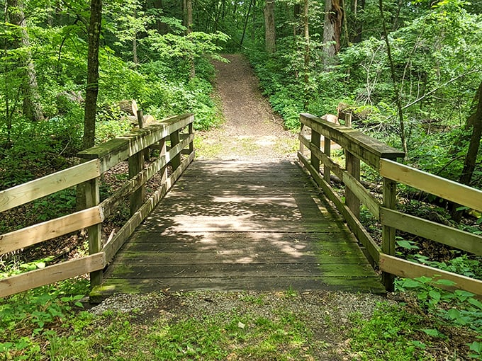 Who needs a red carpet when you've got this? Nature rolls out the green for a lakeside stroll that's pure Minnesota magic. Photo credit: Timothy Olson