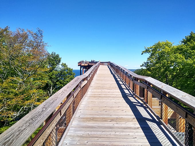 Stairway to heaven? Nope, just the coolest boardwalk you'll ever stroll. This wooden wonder offers views that'll make your heart soar higher than an eagle.