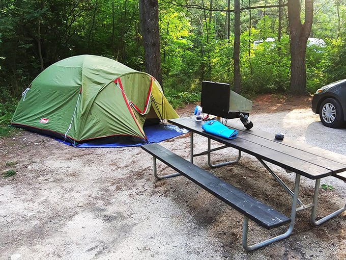 Camping 2.0: Where your temporary home comes with a five-billion-star view. Just remember, the squirrels aren't included in room service.