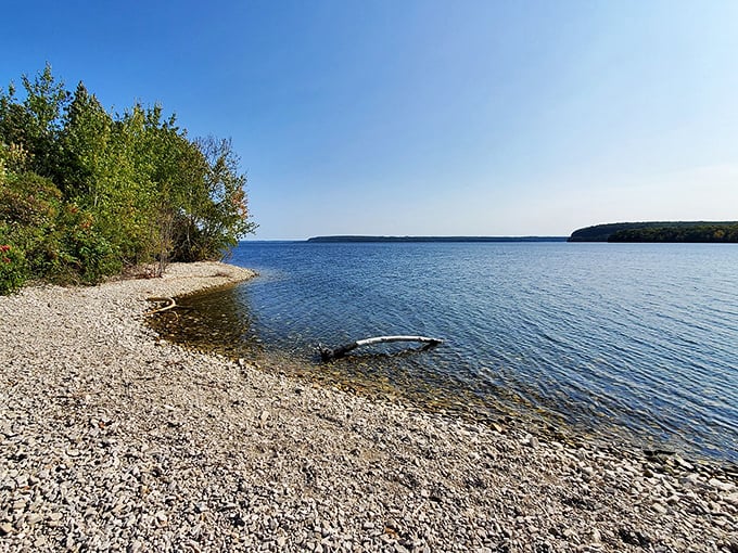 Beach therapy in session: Where pebbles whisper secrets of the Great Lakes and trees stand guard against the worries of the world.