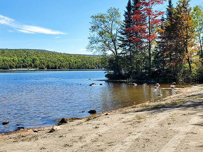 Nature's canvas unfurls: Stillwater State Park welcomes you with a symphony of colors. Autumn's brushstrokes paint the trees, while the lake mirrors the sky's azure hue.