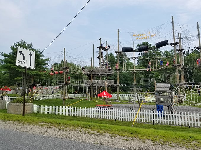 Welcome to the jungle gym of your dreams! Monkey C Monkey Do's obstacle courses are like a Tarzan movie come to life, minus the loincloth wardrobe malfunction risks.