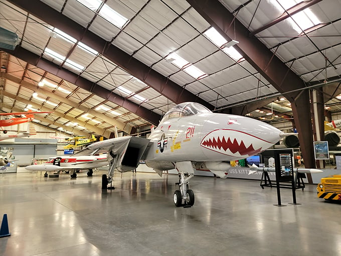 Shark of the Sky: The F-14 Tomcat bares its teeth in this impressive display at the Pima Air & Space Museum, reminding visitors of its fearsome reputation in aerial combat.