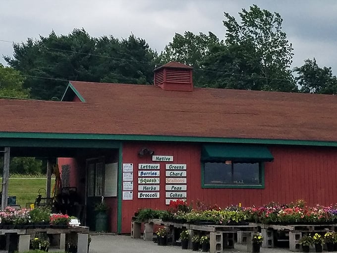 A red barn that screams 