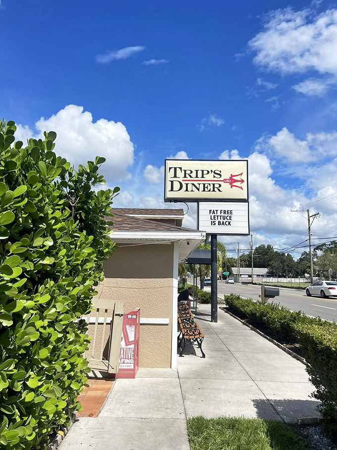 Welcome to flavor town! Trip's Diner's exterior promises a journey into comfort food paradise, complete with a side of humor and fat-free lettuce.