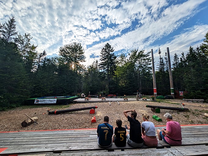 Nature's amphitheater: Where the trees are the audience and the sky is the spotlight. A rustic stage set for lumberjack legends in the making.