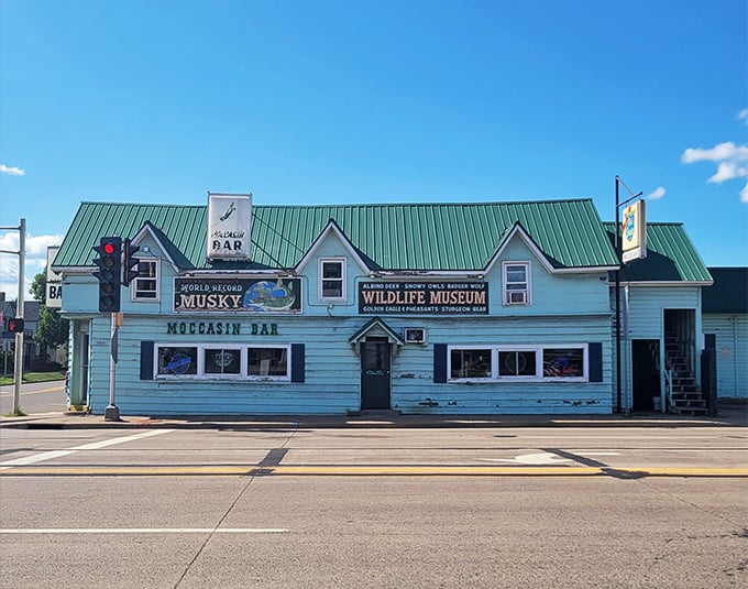 A slice of Northwoods nostalgia! This unassuming blue building houses more wildlife than your average forest – and better drinks, too.