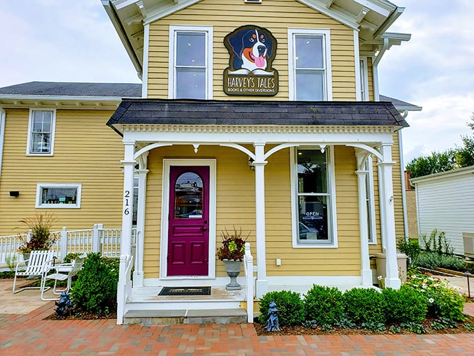 A storybook come to life! This charming Victorian house isn't just a bookstore; it's a portal to countless literary adventures waiting to unfold.