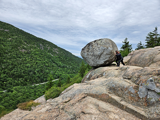 Nature's grand canvas unfolds: Acadia's rugged beauty on full display. A vista that'll make you forget your Instagram filters and just... breathe.