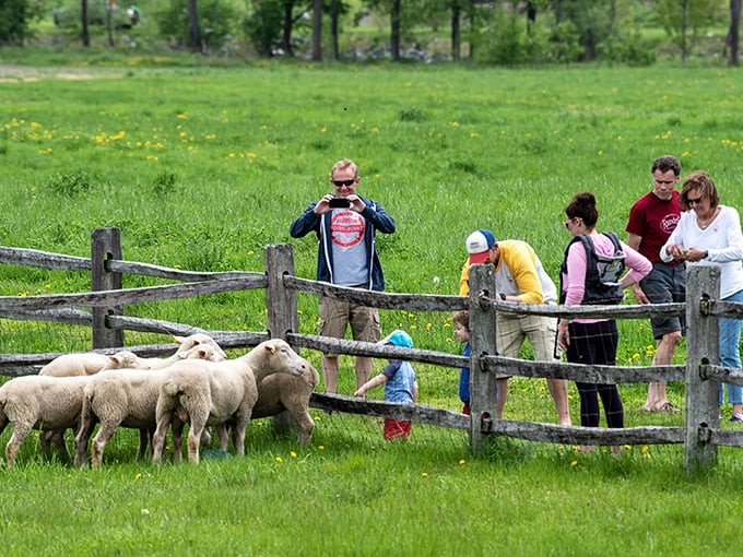 Roadside attraction meets time machine: Pull over for a slice of pastoral Americana.