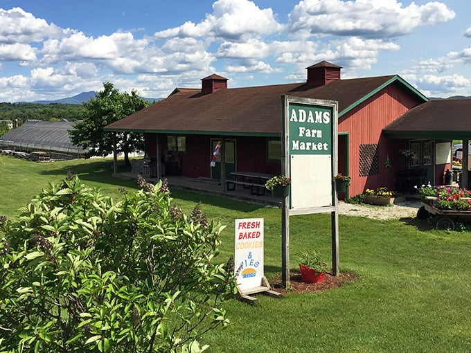 A red barn that screams 