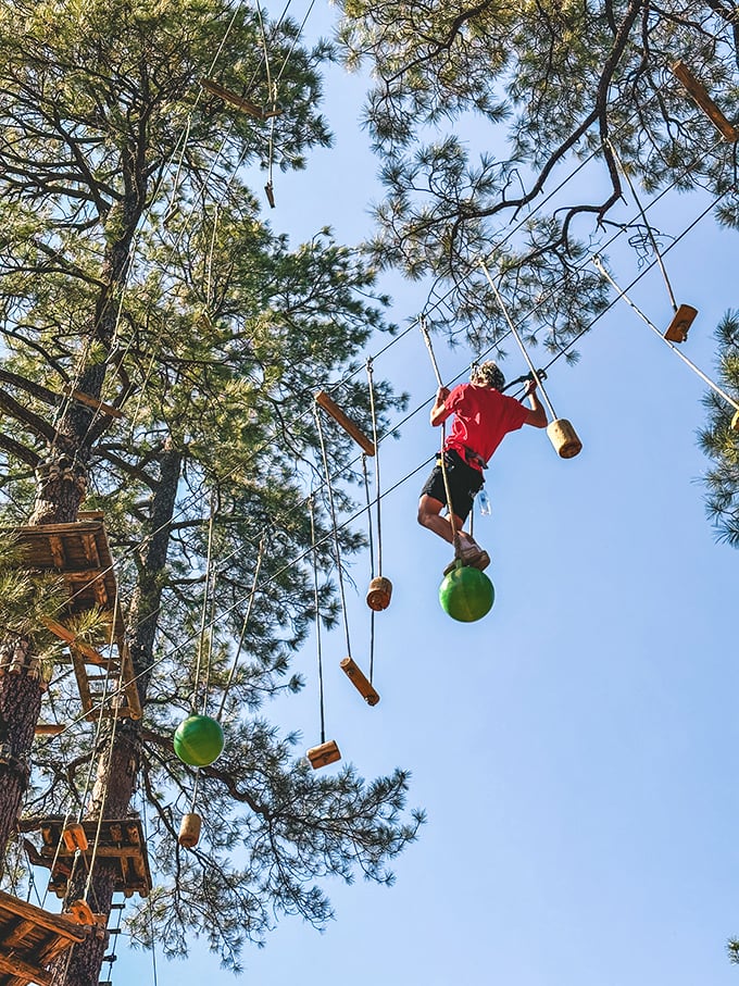 Soaring through the pines, this daredevil channels their inner Tarzan, minus the loincloth and questionable yodel.