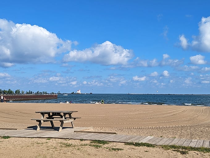 "Who needs a tropical getaway? This picnic table is your ticket to relaxation, Ohio-style. Just don't forget your sunscreen – Lake Erie doesn't mess around!"