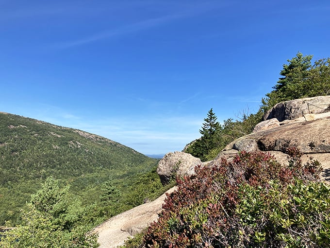 Nature's grand canvas unfolds: Acadia's rugged beauty on full display. A vista that'll make you forget your Instagram filters and just... breathe.