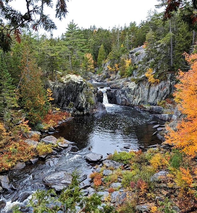 Windshield to wonderland: Brownville's hidden gorge offers a refreshing break from asphalt and billboards. Time to stretch those legs!