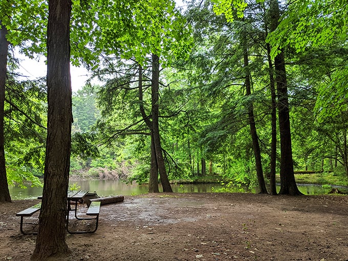 Nature's living room: A tranquil spot where the trees whisper secrets and the water plays a soothing melody. Grab a seat, the show's about to begin!