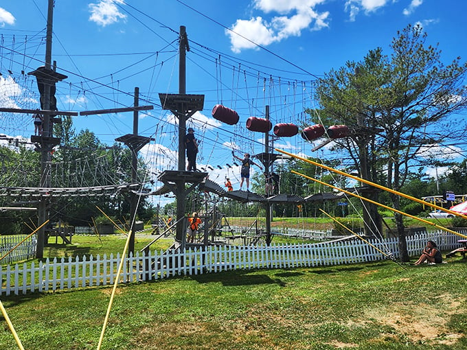 Welcome to the jungle gym of your dreams! Monkey C Monkey Do's obstacle courses are like a Tarzan movie come to life, minus the loincloth wardrobe malfunction risks.