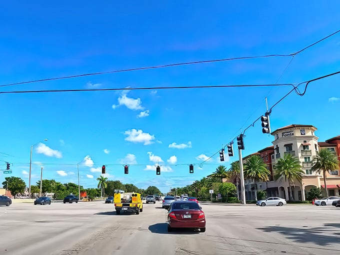 Welcome to Davie, where the sky's so blue it makes you wonder if you've stumbled into a Bob Ross painting!