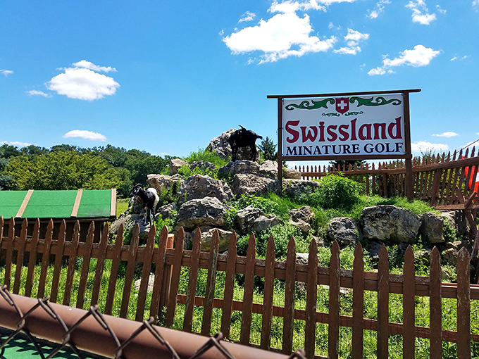 Putting paradise! This Swiss-inspired mini-golf course is greener than a wheel of Emmentaler and twice as holey.