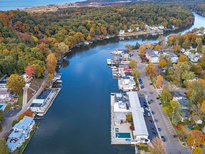 Saugatuck: Where nature paints a masterpiece! This aerial view showcases the town's stunning blend of lush forests and winding waterways.