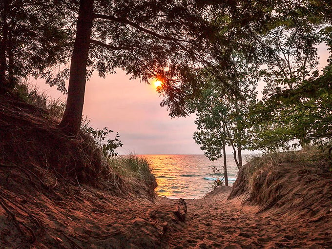 Dive into Saugatuck's harbor, where every dock tells a story and the water whispers tales of lazy summer days. 