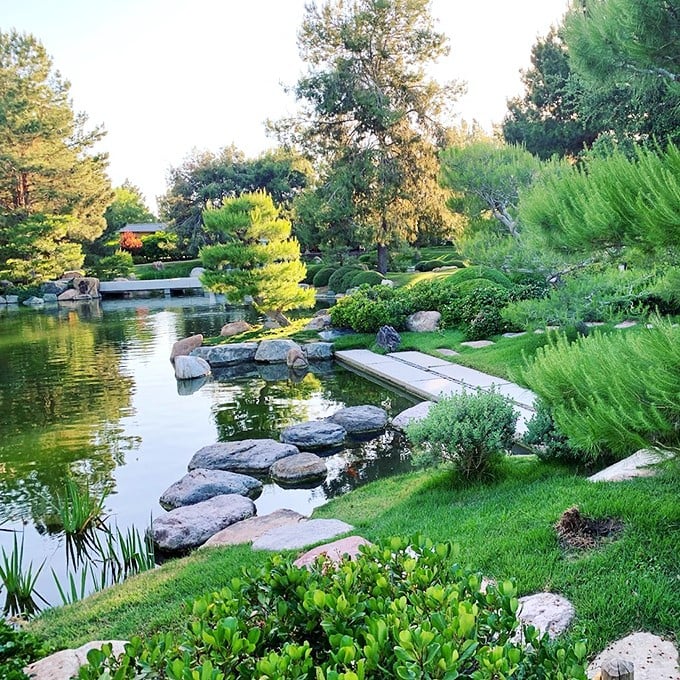 Zen and the art of garden maintenance: Where every pebble has a purpose and every bush is living its best life. It's nature's version of a well-organized closet.