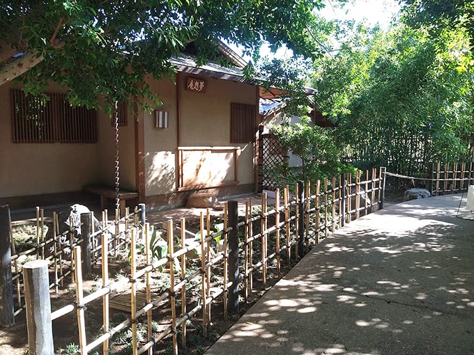 East meets West in this charming tea house. It's like a haiku come to life, where tranquility is served with a side of desert breeze.