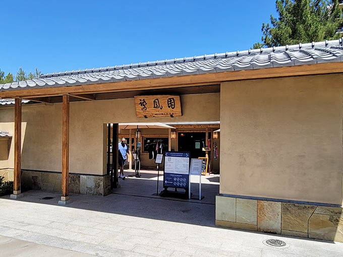 The garden's VIP entrance: Very Important Plants only beyond this point. Even the cacti are getting dressed up for this party.
