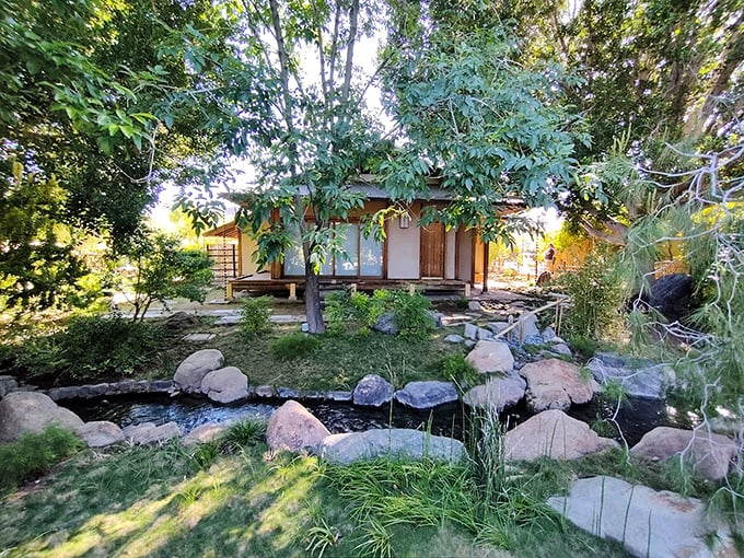 Nature's color palette on full display. It's as if the garden decided to throw a party and invited all the shades of green.