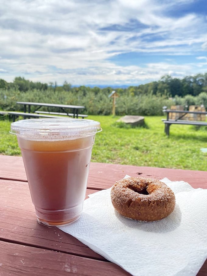 The perfect fall pairing: a cider donut and slush with a side of breathtaking views. It's like autumn decided to throw a party in your mouth.