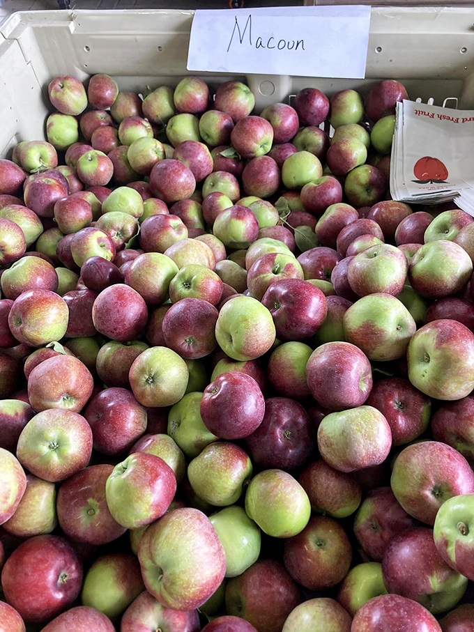 Meet the Macoun: the apple that thinks it's a wine. Complex flavors in a crisp package – it's the sophisticate of the orchard.