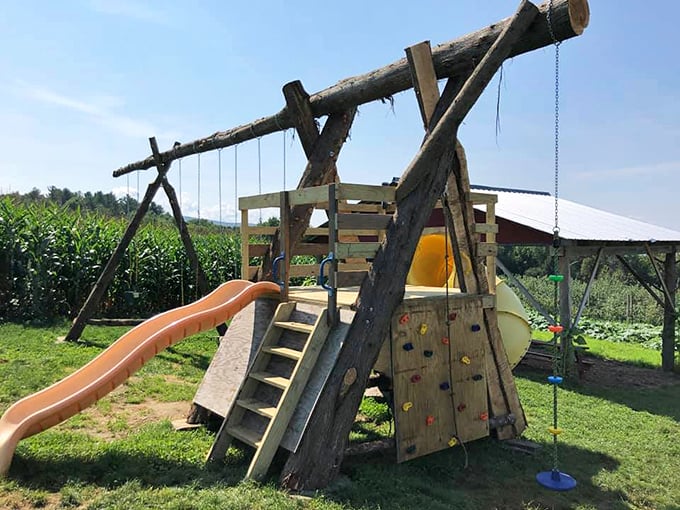 Who says kids get to have all the fun? This playground is tempting enough to make adults consider a career change to professional swinger.