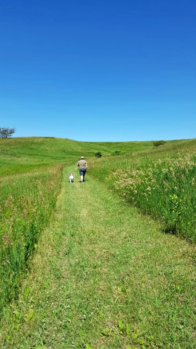 Who needs a treadmill when you've got this? This trail is inviting you for a stroll that's good for both body and soul.