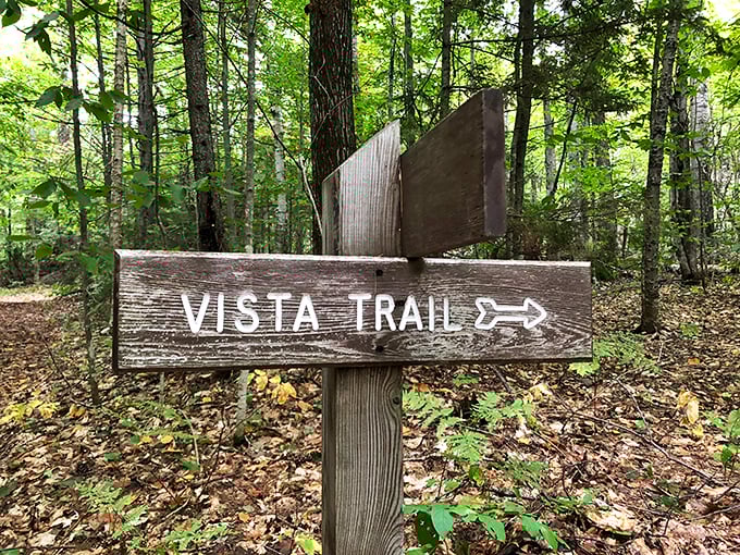 Vista Trail – two words that promise so much. It's like nature's way of saying, "Trust me, the climb is worth it." Spoiler alert: it always is.