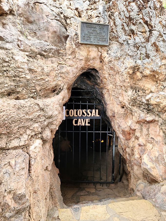 Nature's grand entrance! This limestone behemoth looks like it's ready to swallow adventurers whole. Indiana Jones, eat your heart out.
