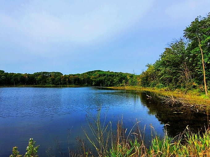 Maplewood State Park in autumn: Nature's own fireworks display. Prepare for a color show that puts Times Square to shame.