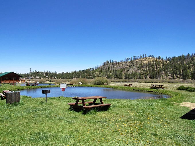 Mother Nature's own infinity pool. Greer's pristine lakes reflect the sky so perfectly, you might forget which way is up!