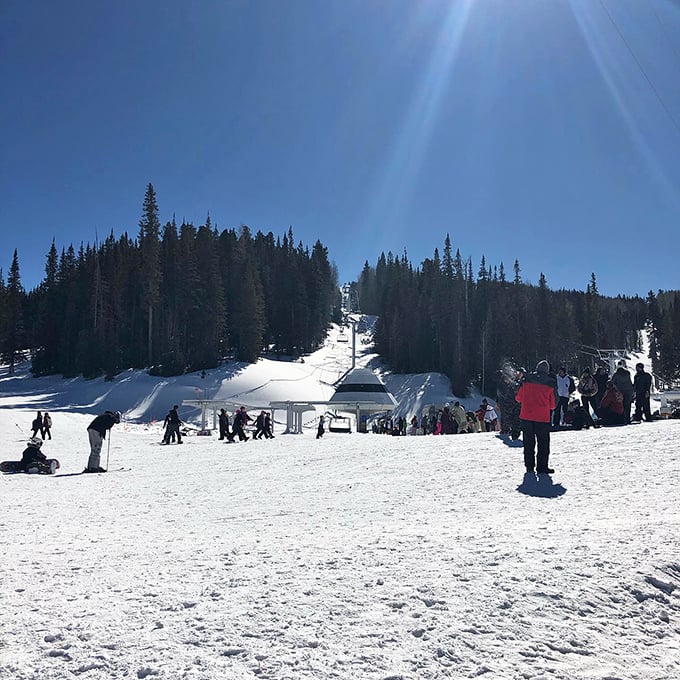 Powder hounds, rejoice! Greer's winter wonderland is where snow bunnies and ski buffs alike come to carve up some serious fun.