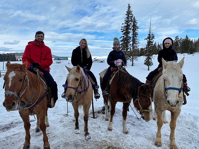 Giddy up and slow down! There's no better way to explore Greer's winter wonderland than on horseback – just don't forget your woolly chaps.