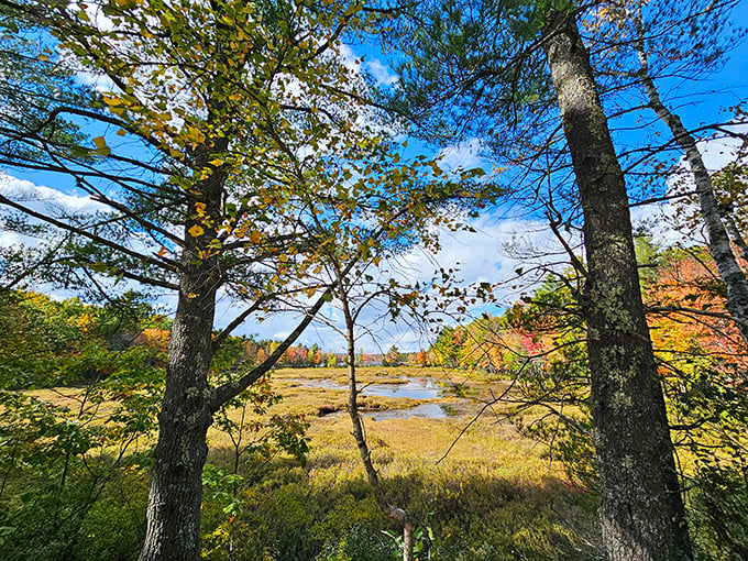 Autumn reflections at Range Ponds. It's like nature's playing a game of mirror, mirror on the water.