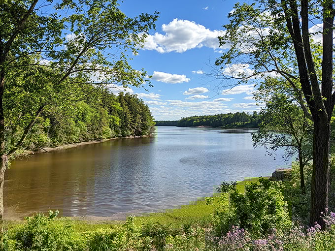 Vaughan Woods: Where every trail feels like a journey through a storybook. Keep an eye out for hobbits!