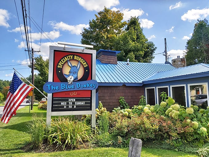 Holy guacamole, it's the Blue Donkey! This Stowe gem promises burgers so good, you'll forget your own name.