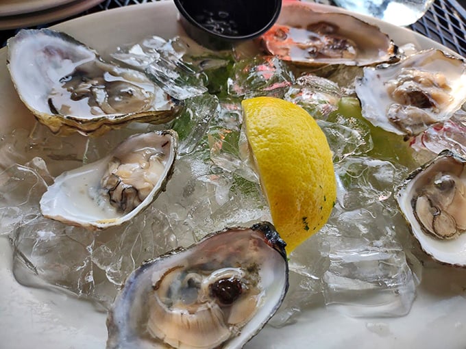 8. oysterFresh oysters on ice, looking like pearls in their half shells. That lemon wedge is just waiting to make its splash. Photo credit: liz