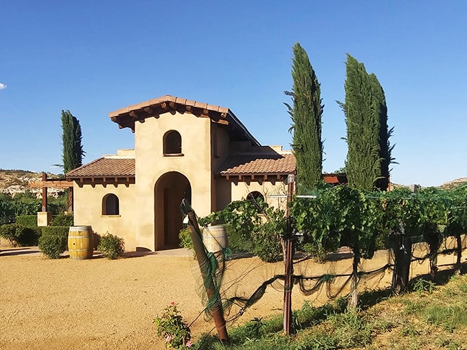 Who needs a time machine? Step into old-world charm at Alcantara, where cypress trees and terracotta roofs transport you to wine country bliss.