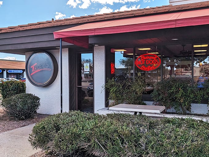 Ted's Hot Dogs: Classic Americana with a side of nostalgia. This place has been grilling up memories longer than most of us have had dentures!